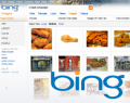 Bing Travel goes natural, Bing Images gets Visual Search-style revamp Bing Travel goes natural, Bing Images gets Visual Search-style revamp