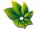 New from Bing Mobile: PhotoSynth for the iPhone New from Bing Mobile: PhotoSynth for the iPhone