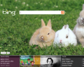 A different Bing for everyone? A different Bing for everyone?