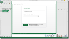 Excel Web App - Edit Mode - Preview Form