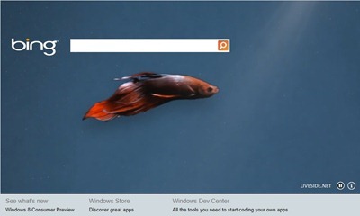 Bing for Windows 8 Consumer Preview